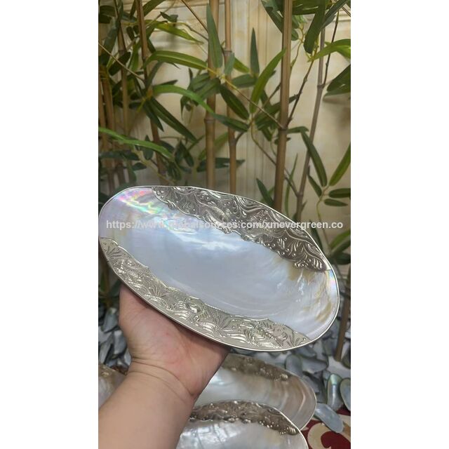 Elegantes Bandejas y Almacenamiento con Forma de Concha: Fruteros de Concha Natural, Bandejas para Aperitivos y Joyeros para una Vida Inspirada en la Costa