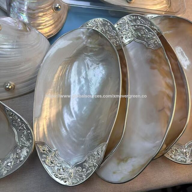 Elegantes Bandejas y Almacenamiento con Forma de Concha: Fruteros de Concha Natural, Bandejas para Aperitivos y Joyeros para una Vida Inspirada en la Costa