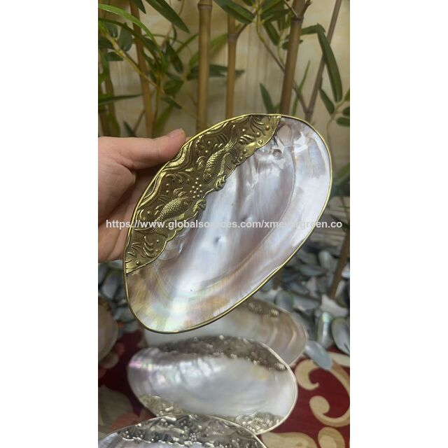 Elegantes Bandejas y Almacenamiento con Forma de Concha: Fruteros de Concha Natural, Bandejas para Aperitivos y Joyeros para una Vida Inspirada en la Costa