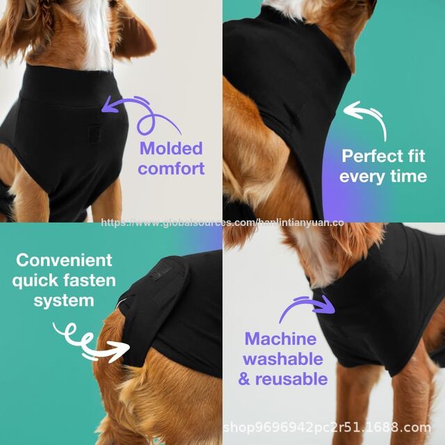 Chaleco de seguridad para mascotas al por mayor, suave, de alta calidad y agradable para la piel para la protección de la seguridad de las mascotas