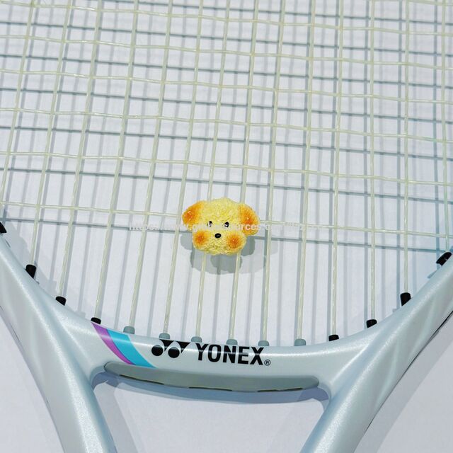 Amortisseurs de Raquette de Tennis d'Extérieur en Plastique pour Entraînement