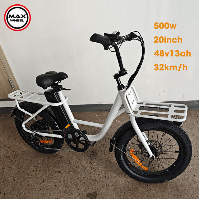 Neuheit 2025: 20-Zoll-Elektro-Citybike mit Gepäckträger, E-Bike EB8 EBIKE für Erwachsene mit 500W-Motor, OEM-Hersteller, heiß begehrt