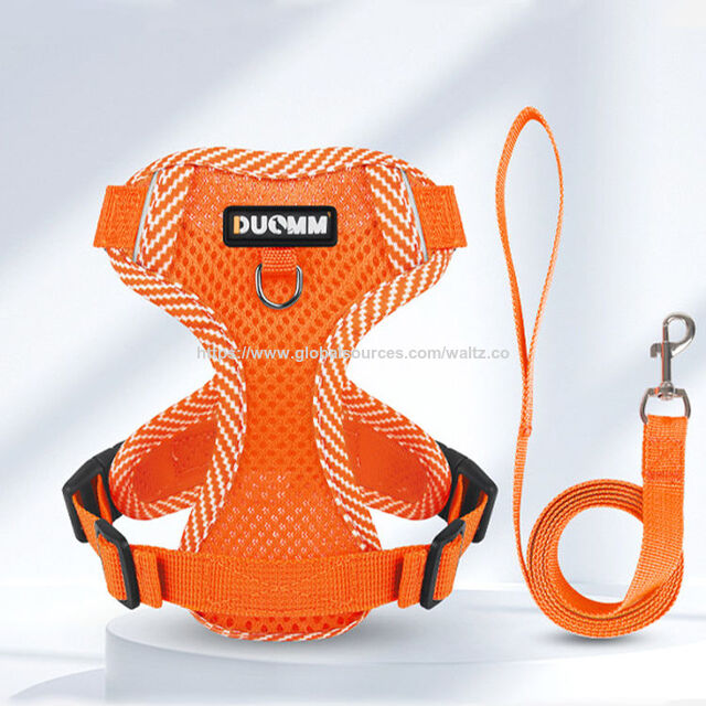 Nuevo Estilo Logo Personalizado Correa de Pecho para Mascotas Cuerda para Pasear Perros Ajustable Transpirable Disponible en Múltiples Colores Arnés para Mascotas