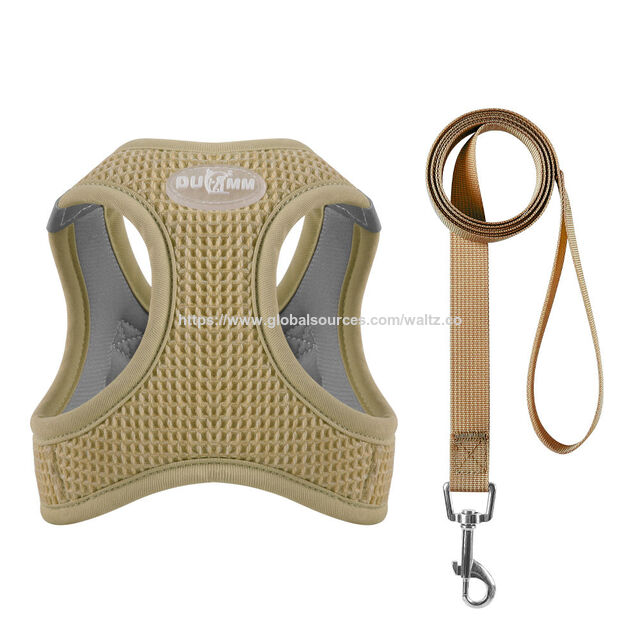 Nuevo arnés ajustable para gatos y perros pequeños con diseño de panal, colores brillantes y fácil de poner