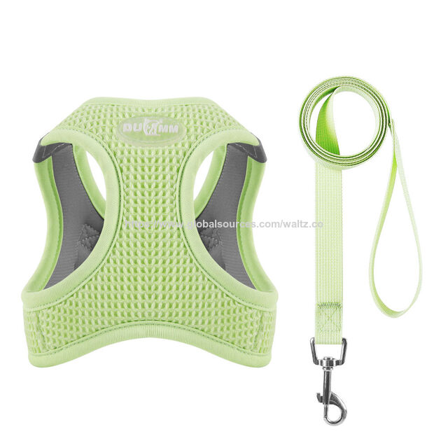 Nuevo arnés ajustable para gatos y perros pequeños con diseño de panal, colores brillantes y fácil de poner