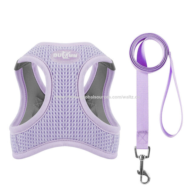 Nuevo arnés ajustable para gatos y perros pequeños con diseño de panal, colores brillantes y fácil de poner
