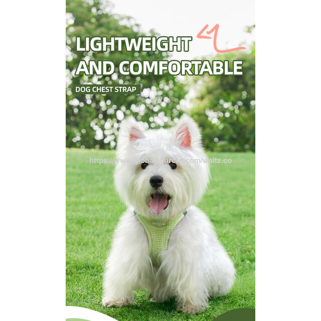 Nuevo arnés ajustable para gatos y perros pequeños con diseño de panal, colores brillantes y fácil de poner