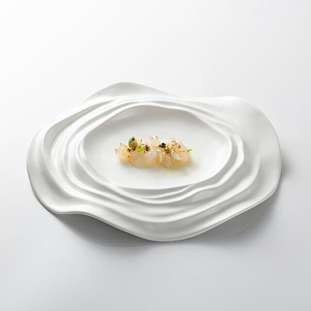 Platos de cerámica rectangulares al por mayor de estilo europeo moderno, platos de cerámica personalizados para postres, ensaladas y cenas para restaurantes