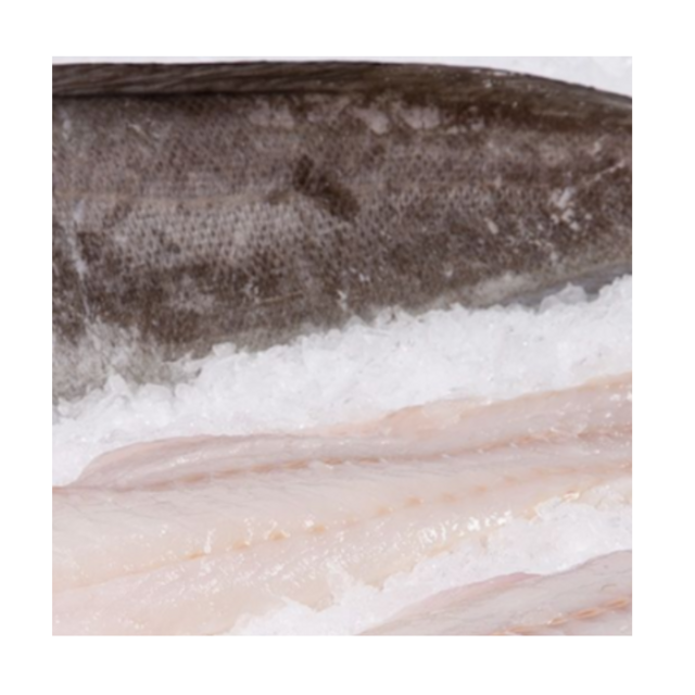 Affordable Frozen Sardine Fish HGT for Sale Best Quality Bulk Supply High Demand Product for Seafood Markets