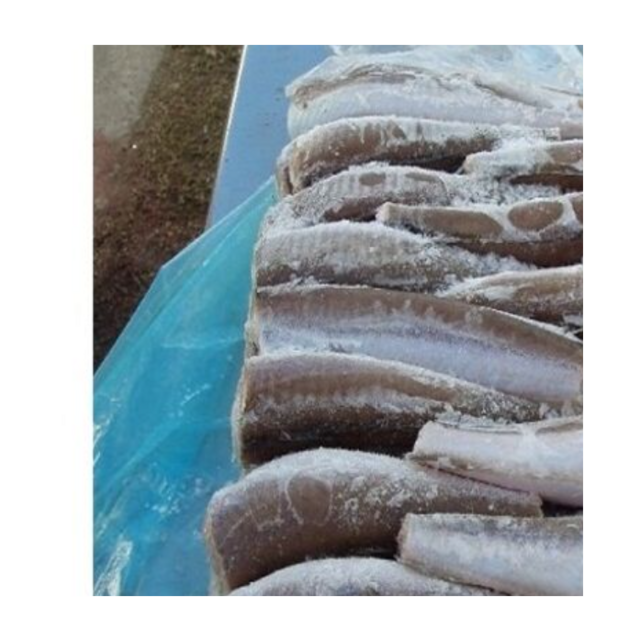 Affordable Frozen Sardine Fish HGT for Sale Best Quality Bulk Supply High Demand Product for Seafood Markets