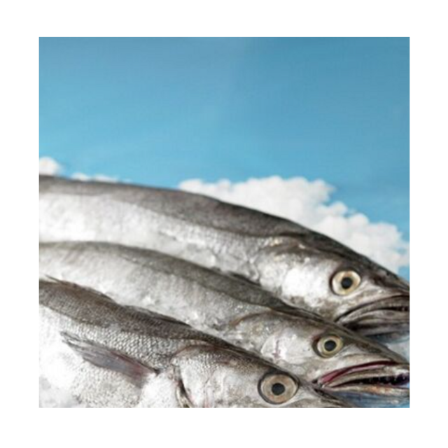 Affordable Frozen Sardine Fish HGT for Sale Best Quality Bulk Supply High Demand Product for Seafood Markets