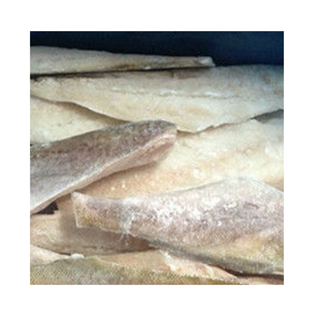 Affordable Frozen Sardine Fish HGT for Sale Best Quality Bulk Supply High Demand Product for Seafood Markets
