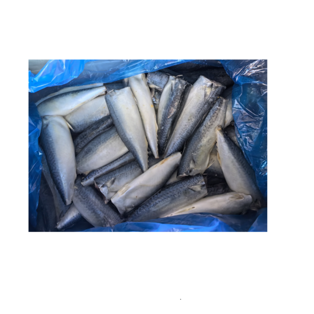 High Quality Frozen Pacific Mackerel Fish for Sale Bulk Supply Affordable Price Best for Export and Wholesale