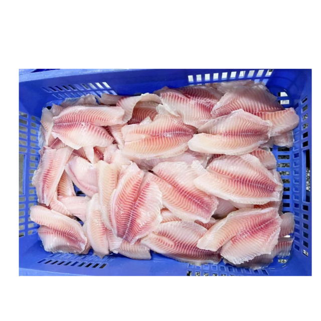 Gefrorene Tilapia-Filets zum Verkauf zu günstigen Preisen, Großhandelslieferant für frischen, gefrorenen Fisch für den weltweiten Export