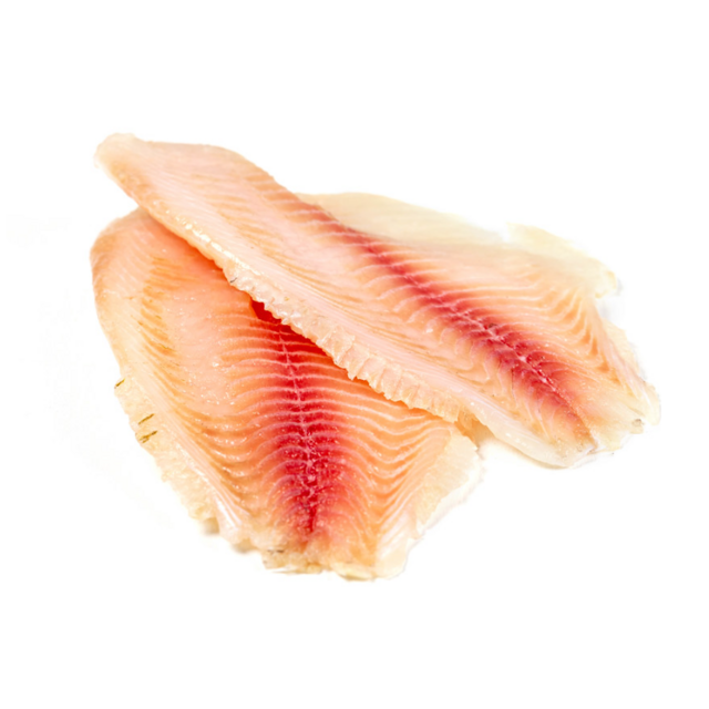 Gefrorene Tilapia-Filets zum Verkauf zu günstigen Preisen, Großhandelslieferant für frischen, gefrorenen Fisch für den weltweiten Export