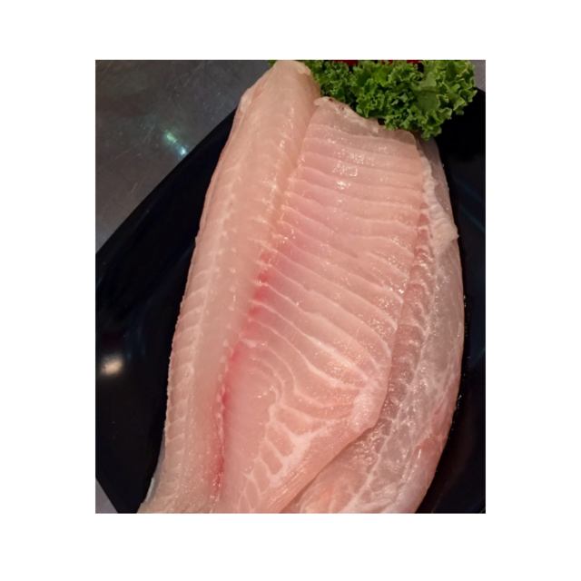 Gefrorene Tilapia-Filets zum Verkauf zu günstigen Preisen, Großhandelslieferant für frischen, gefrorenen Fisch für den weltweiten Export