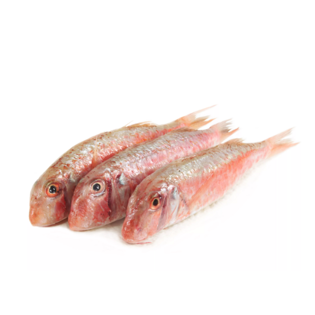 Frozen Red Mullet Fish For Sale Fresh Seafood Premium Quality Available Wholesale Direct From Supplier At Cheap Price