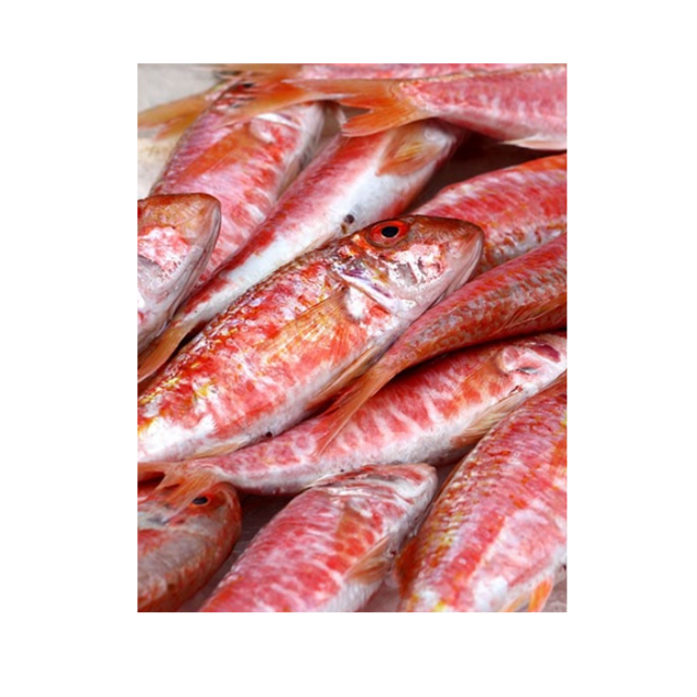 Frozen Red Mullet Fish For Sale Fresh Seafood Premium Quality Available Wholesale Direct From Supplier At Cheap Price