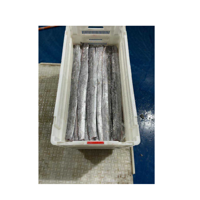 Best Price Frozen Ribbon Fish HGT Fresh Frozen Seafood Wholesale Supplier Providing Bulk Export Service
