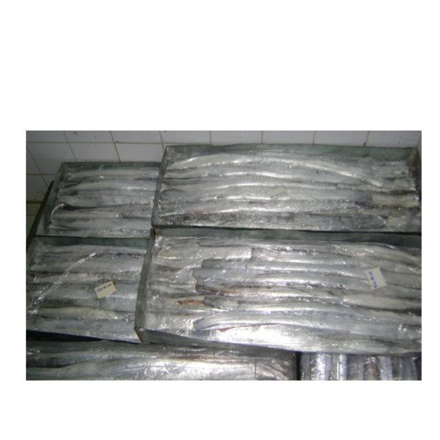 Best Price Frozen Ribbon Fish HGT Fresh Frozen Seafood Wholesale Supplier Providing Bulk Export Service