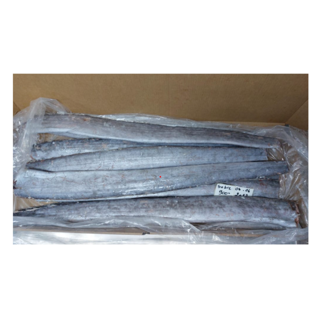 Best Price Frozen Ribbon Fish HGT Fresh Frozen Seafood Wholesale Supplier Providing Bulk Export Service