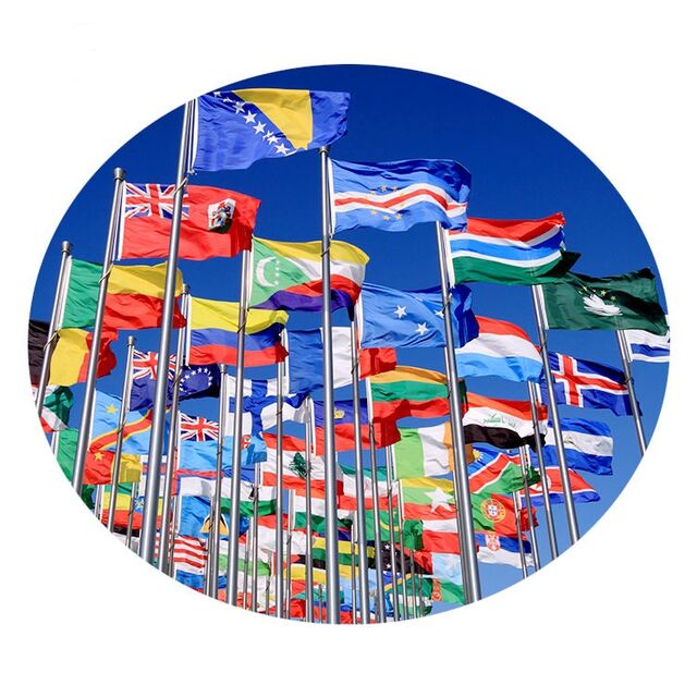 Bandera Nacional Personalizada de Poliéster Impresa 3*5FT Bandera de Elección de Reino Unido, EE. UU., Australia, Canadá, Banderas Publicitarias Promocionales para Campaña