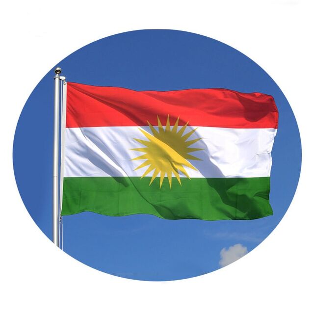 Bandera Nacional Personalizada de Poliéster Impresa 3*5FT Bandera de Elección de Reino Unido, EE. UU., Australia, Canadá, Banderas Publicitarias Promocionales para Campaña