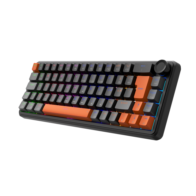 Clavier Mécanique 66% Full Black 2025, Plaque en Aluminium, Touches à Double Injection, Taux d'Interrogation 8KHz RT 0.02mm, Éclairage RGB