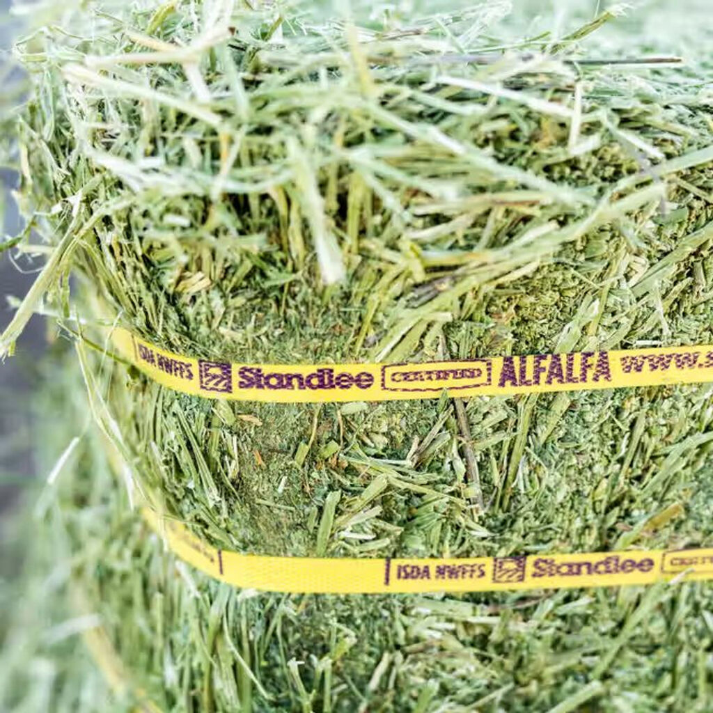 Quality Timothy Hay Bays / Timothy Hay Dehydrated Timothy Hay Cubes ...