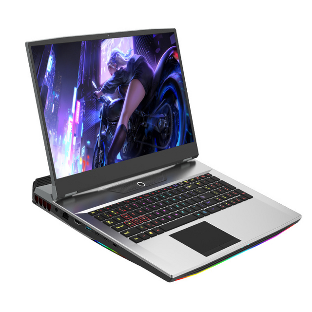 Laptop de 17,3 polegadas Core i7-10750H + placa de vídeo 1650 4G, DDR 16GB/32GB, SSD 512GB/1TB, WiFi 6, Windows 11