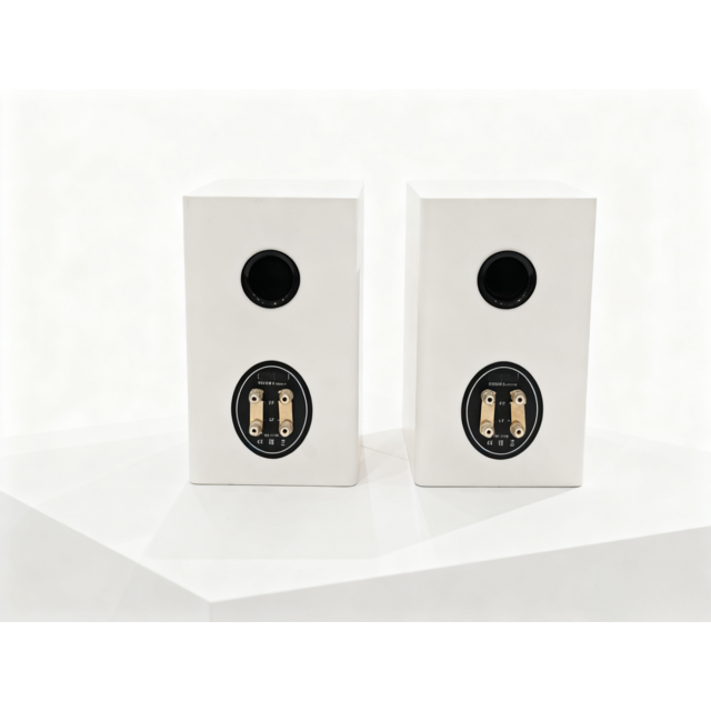 Haut-parleurs passifs Hi-Fi HF100 en gros : Paire en bois massif pur, finition blanche élégante, reproduction sonore de qualité audiophile pour la maison
