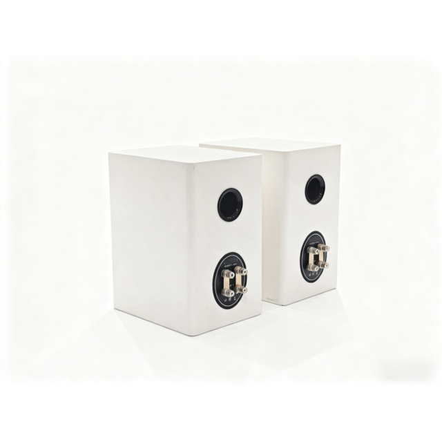 Haut-parleurs passifs Hi-Fi HF100 en gros : Paire en bois massif pur, finition blanche élégante, reproduction sonore de qualité audiophile pour la maison