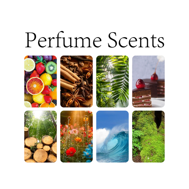 Parfums de luxe pour hommes préférés des clients RS 100 ml EDP Parfum inspiré par les célébrités Vente en gros Parfum en spray Livraison rapide