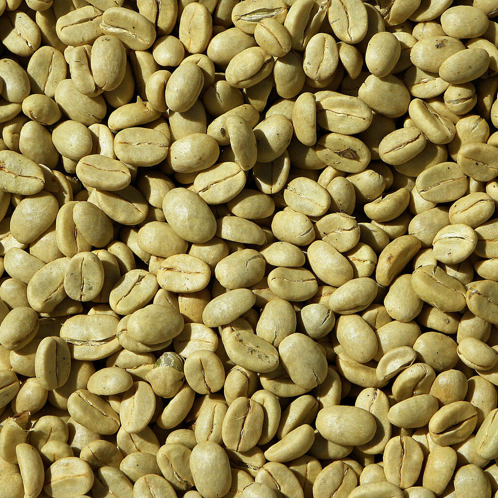 Photo inspiration: Top Quality Arabica Coffee Reference: Arabica Coffee Arabica Coffee Price Brazil Washed Process Quality