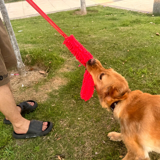 Bissfeste Kauspielzeuge für Haustiere, zum Zähneknirschen und Reinigen, Cord-Plüschtier mit Sound, interaktives Spielzeug für Hunde, Katzen und kleine Tiere, kundenspezifisch