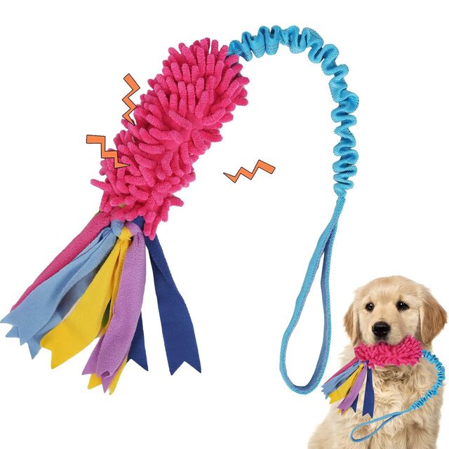 Bissfeste Kauspielzeuge für Haustiere, zum Zähneknirschen und Reinigen, Cord-Plüschtier mit Sound, interaktives Spielzeug für Hunde, Katzen und kleine Tiere, kundenspezifisch
