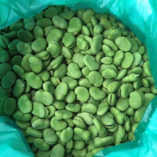 Venta al por mayor de granos de café arábica orgánico de Vietnam S16, puro, natural, a granel, directamente de fábrica para tostar. Entrega al por mayor a cualquier país.