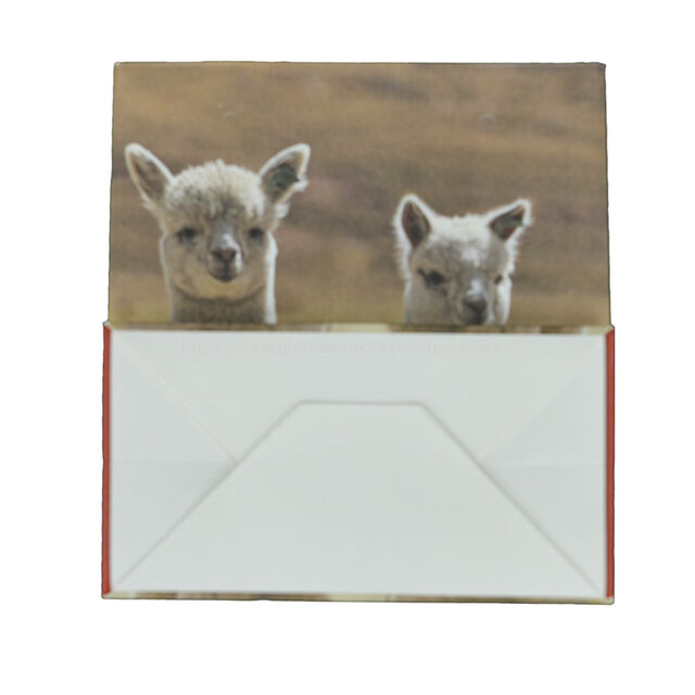 Saco de presente de papel couché C2S com impressão personalizada a preço de fábrica para empresas