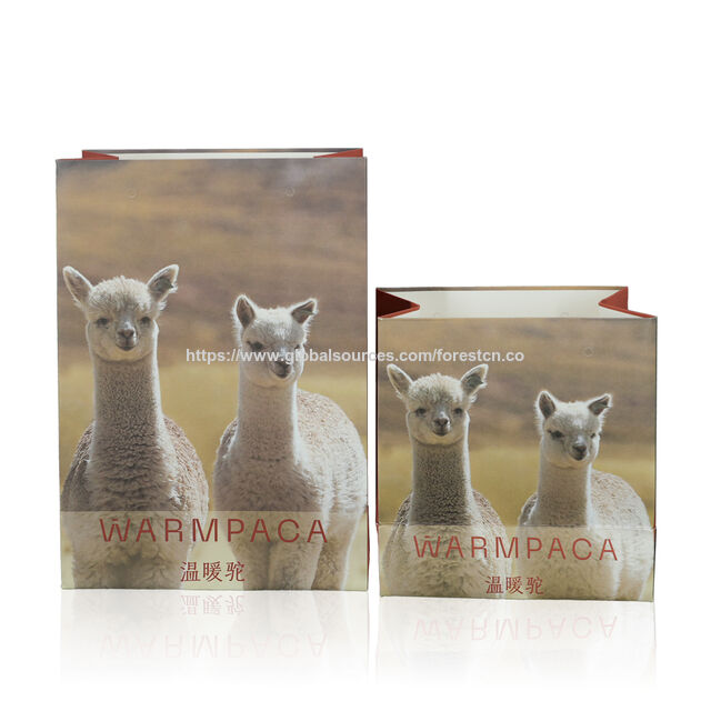 Saco de presente de papel couché C2S com impressão personalizada a preço de fábrica para empresas