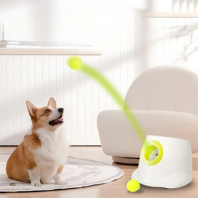 Lançador de Bolas Automático OEM para Cães, Distância Ajustável com Gravação de Voz