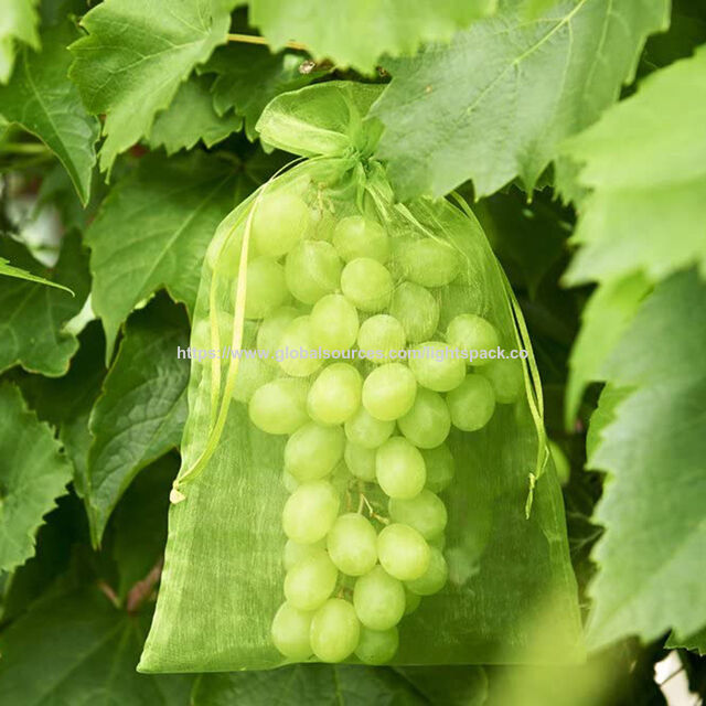 Bolsas de Protección de Frutas Personalizadas, Bolsas de Malla con Cordón de Ajuste de Organza para Árboles Frutales, Bolsa de Cubierta de Malla para Plantas Frutales para Protección