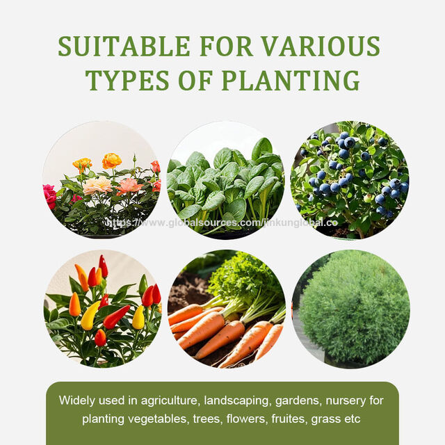 Wholesale Non-woven Grow Bags with Handles - Cost-Effective for Home Gardening & Agriculture