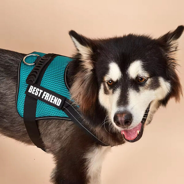 Zugfreies, reflektierendes und strapazierfähiges Hundegeschirr mit Griff, individualisierbaren Aufnähern und Logo, Diensthundeweste für kleine, mittelgroße und große Hunde