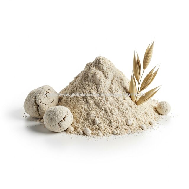 Lait d'Avoine en Poudre Bio Naturel de Haute Qualité pour Vente en Gros