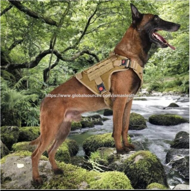 Premium Taktisches Hundegeschirr mit Schnellverschlüssen - Strapazierfähiges und komfortables taktisches Hundegeschirr für tägliche Spaziergänge.