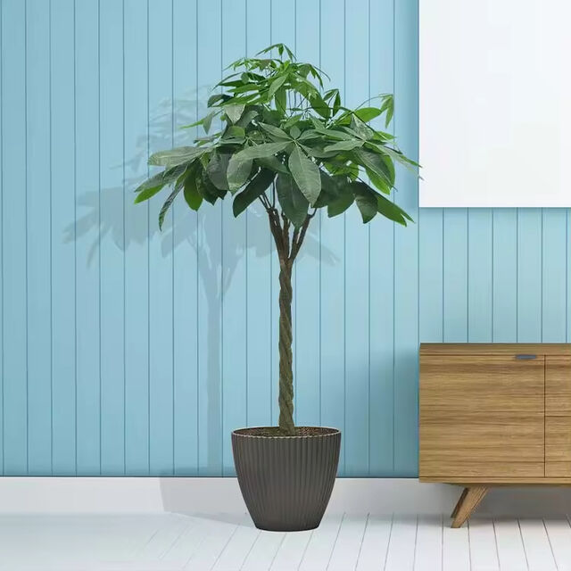 Modern Bonsai Pot Large Flowerpot Flower Planter Pot for Garden Party Wedding Home Decor