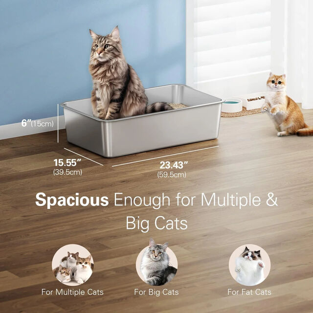 Bac à litière pour chat en acier inoxydable, bac métallique à bords hauts anti-insectes, contrôle des odeurs, facile à nettoyer