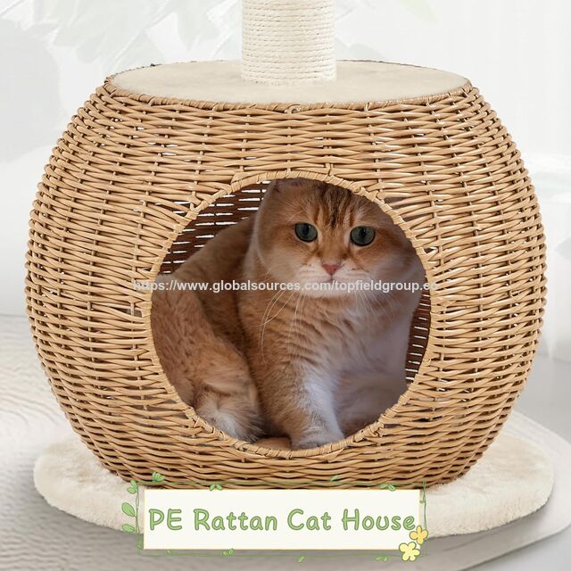Torre de Escalada Interior com Poste Arranhador, Rattan Tecido, Luxo, Almofada Macia Superior, Árvore de Gato de Rattan, Condomínio para Gatinhos, Caverna/Casa para Gatos