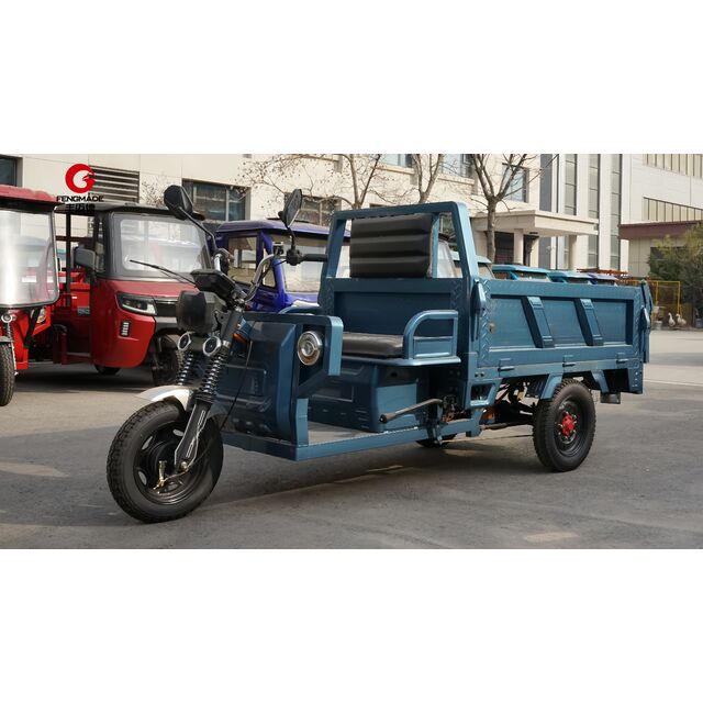 Dreirädriges elektrisches Lastenrad Elektro-Dreirad für Erwachsene