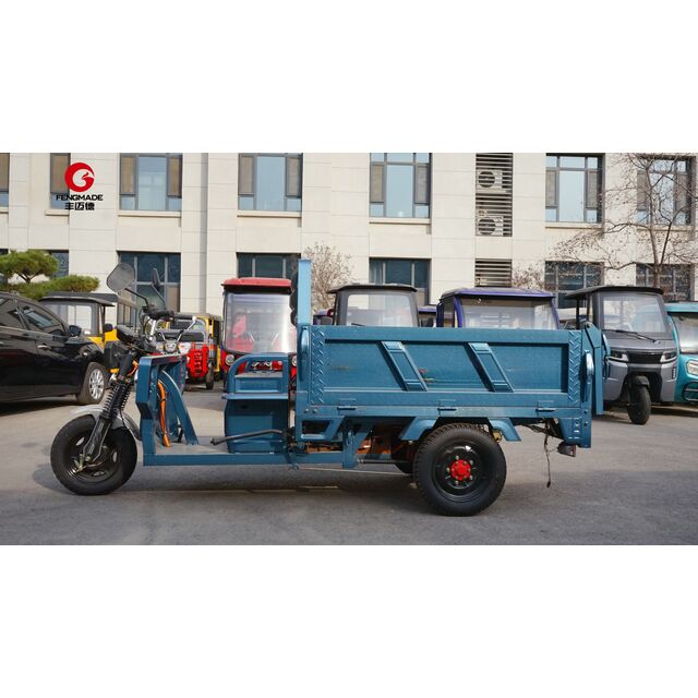 Dreirädriges elektrisches Lastenrad Elektro-Dreirad für Erwachsene
